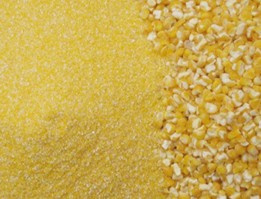 Corn Flour and corn meal