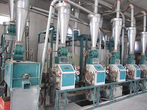 flour milling process manufacturer