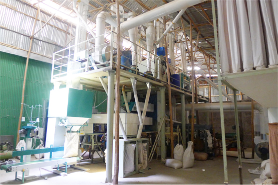 lentil peeling processing plant