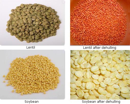 soybean dehulling