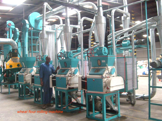 Wheat flour milling machine used in small scale flour mill